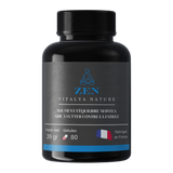 ZEN – Vitalya Nature | Équilibre nerveux & Anti-fatigue | 80 gélules