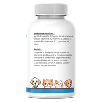 ANTI-ÂGE VISION – Animaé Nature | Complément Oculaire pour Chiens & Chats | 100g